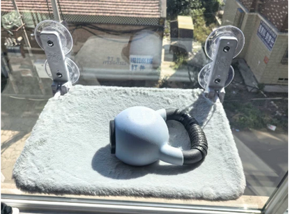 Real photo - cat window perch weight test on glass