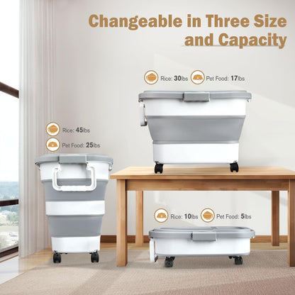Collapsible Airtight Food Storage Container