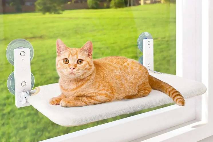 Cat relaxing on DreamyFinds cordless cat window perch