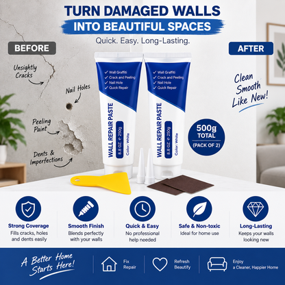 Wall Repair Paste – 500g (Pack of 2) | Crack & Hole Filler